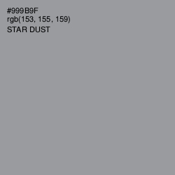 #999B9F - Star Dust Color Image